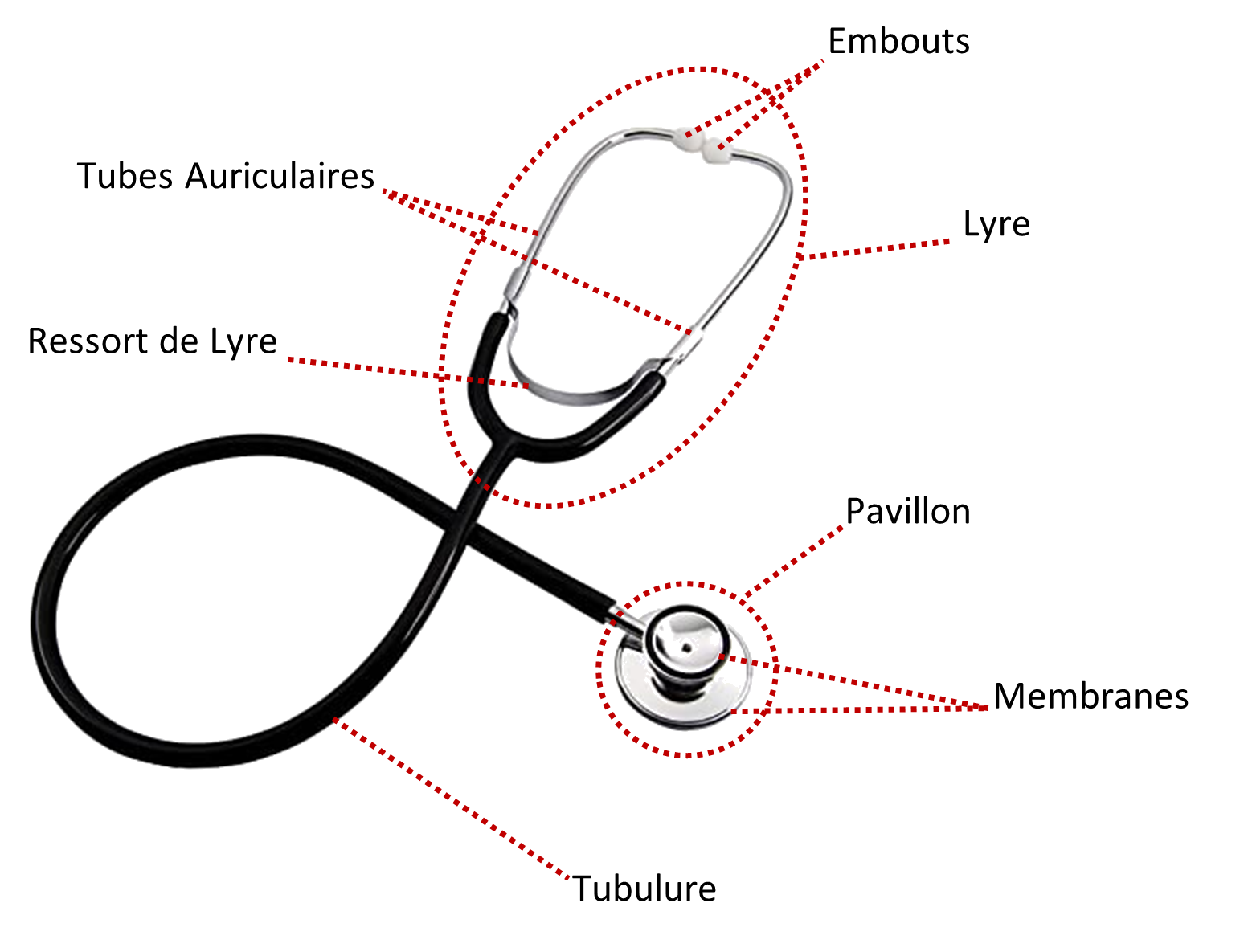 Bien Choisir Son Stéthoscope Materiel Medical Professionnel